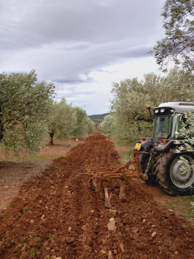 Escale Au Salagou Le Bosc  Екстер'єр фото